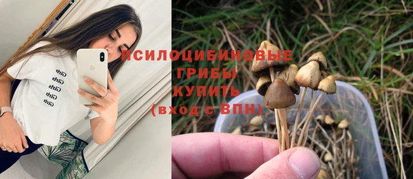 синтетический гашиш Арсеньев